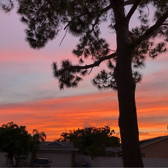 Meet your Posher, Melody - Picture 5 of 5